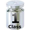 Mettler Toledo® 11123478 ASTM Class 1 Calibration Weight With Certification - 1 g
