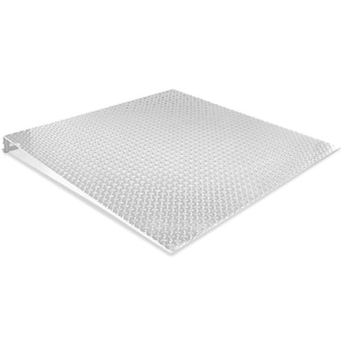 Rice Lake Roughdeck SS and HE Stainless Steel Access Ramp 4 ft x 3 ft x 3.5 in