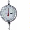 Chatillon  4215DD-X-H Mechanical Hanging 9 inch Scale with Hook, Double Dial, 15 lb x 1/2 oz
